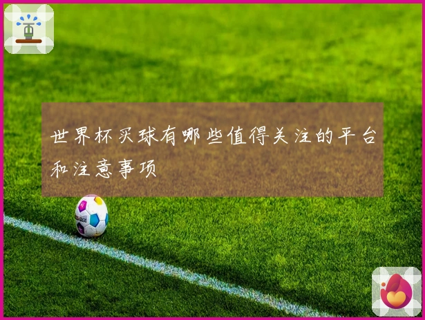 世界杯买球有哪些值得关注的平台和注意事项