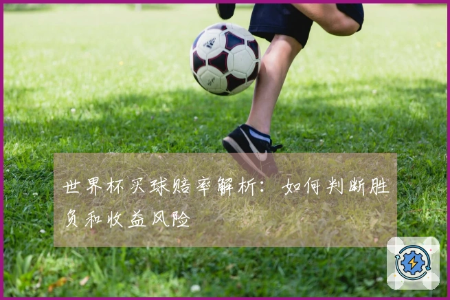 世界杯买球赔率解析：如何判断胜负和收益风险