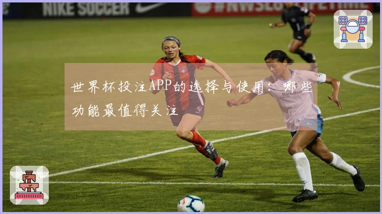 世界杯投注APP的选择与使用：哪些功能最值得关注