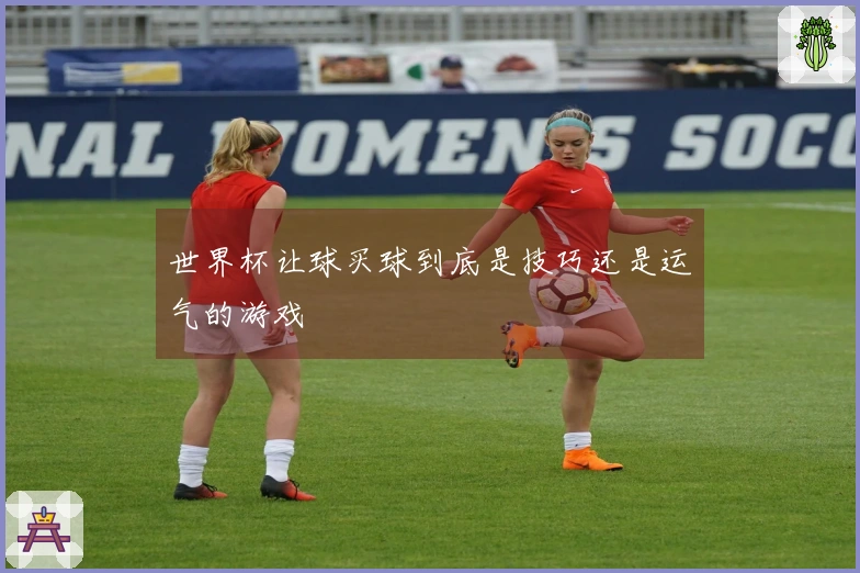 世界杯让球买球到底是技巧还是运气的游戏