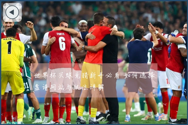 世界杯买球竞猜新手必看 如何选择靠谱网站与玩法详解