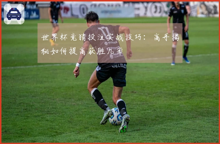 世界杯竞猜投注实战技巧：高手揭秘如何提高获胜几率