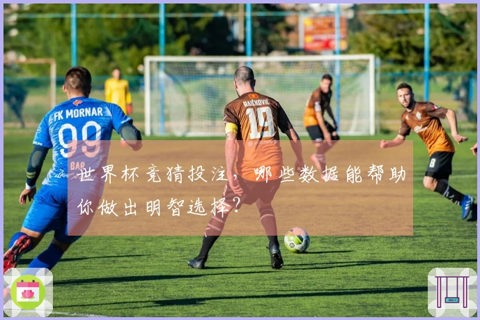 世界杯竞猜投注，哪些数据能帮助你做出明智选择？