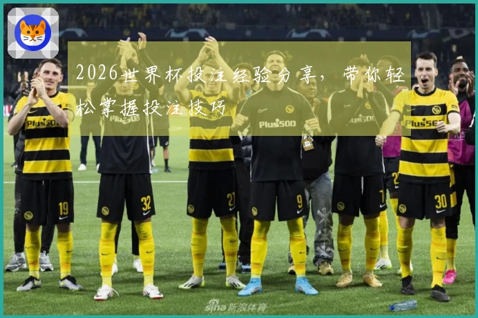 2026世界杯投注经验分享,带你轻松掌握投注技巧