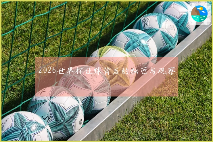 2026世界杯让球背后的秘密与观察