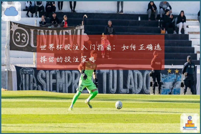 世界杯投注入门指南：如何正确选择你的投注策略