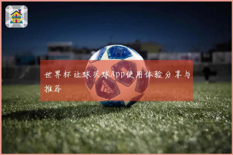 世界杯让球买球App使用体验分享与推荐