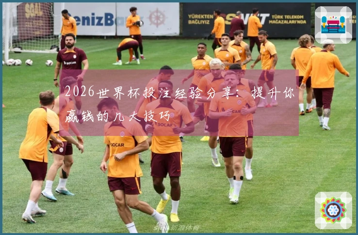 2026世界杯投注经验分享：提升你赢钱的几大技巧