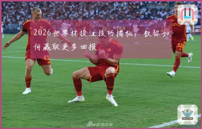 2026世界杯投注技巧揭秘，教你如何赢取更多回报