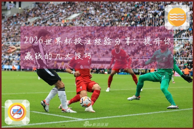 2026世界杯投注经验分享：提升你赢钱的几大技巧
