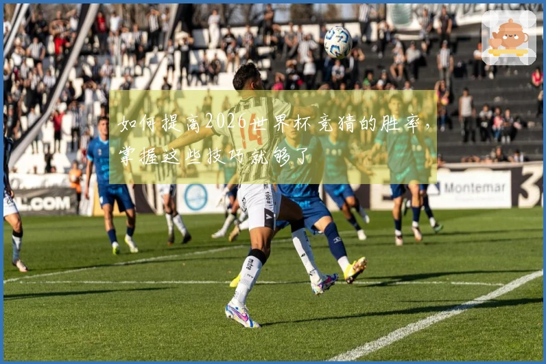 如何提高2026世界杯竞猜的胜率，掌握这些技巧就够了