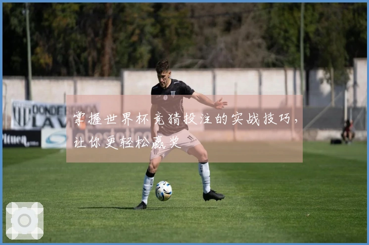 掌握世界杯竞猜投注的实战技巧，让你更轻松赢奖