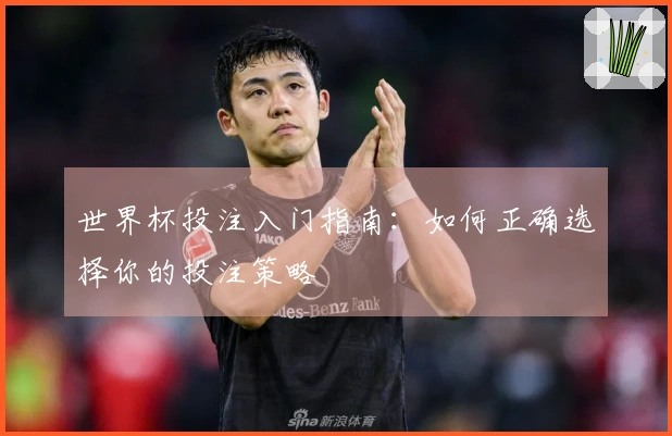 世界杯投注入门指南：如何正确选择你的投注策略